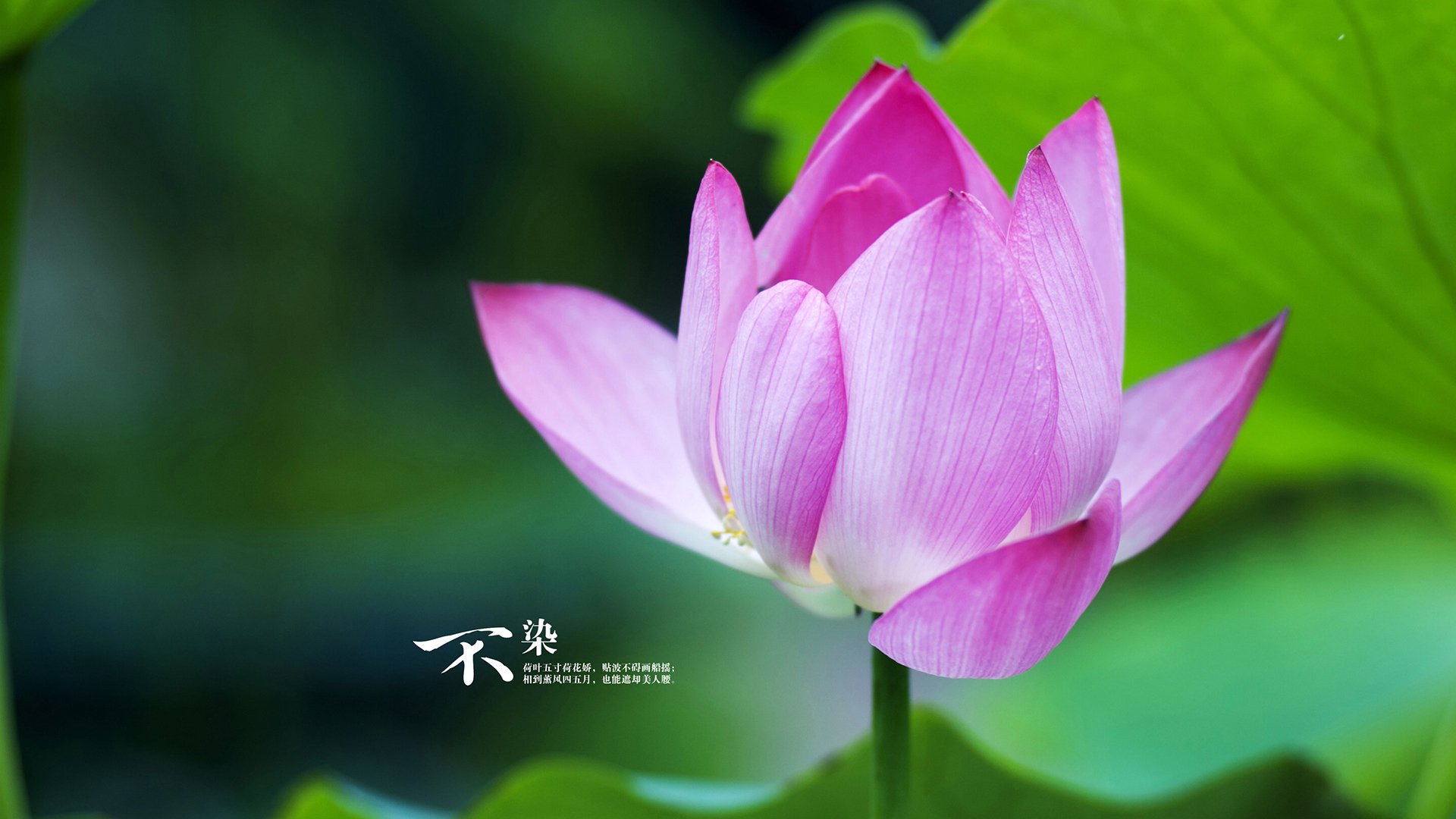 最新钢材市场分析（2021年钢材市场分析）