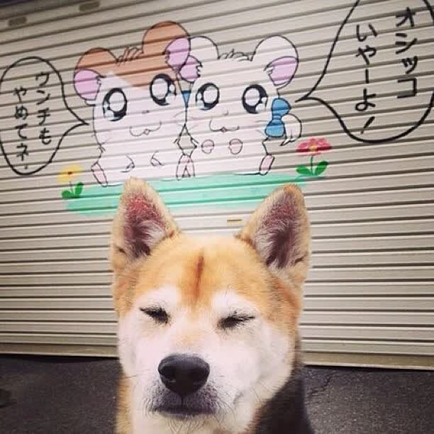 附近的钢材市场电话(附近的钢材市场电话多少)